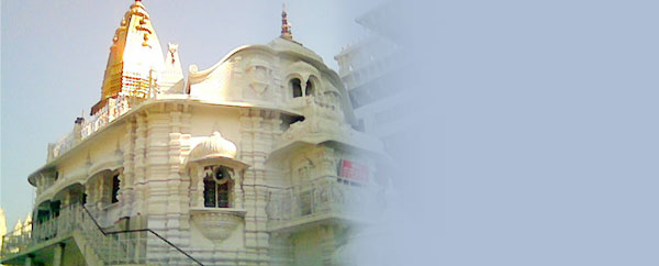 Chattarpur Temple (Delhi) Hindu Temples