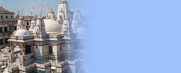 Swaminarayan Mandir Vadtal (Gujarat) Hindu Temples