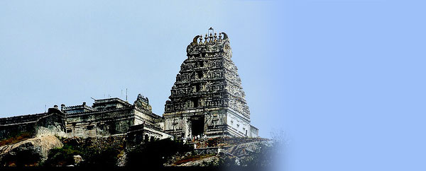 Yoga Narasimhar Temple (Tamil Nadu) Hindu Temples