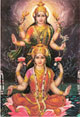 DhanLaxmi